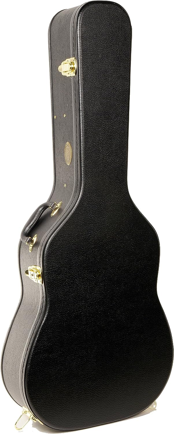 Ashton Akustik Gitar Hard Case