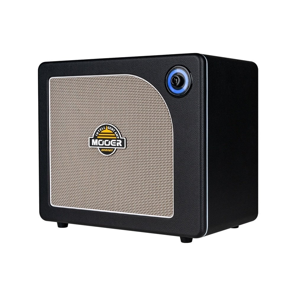 Mooer Hornet DH30IBK 30W Siyah Gitar Amfisi