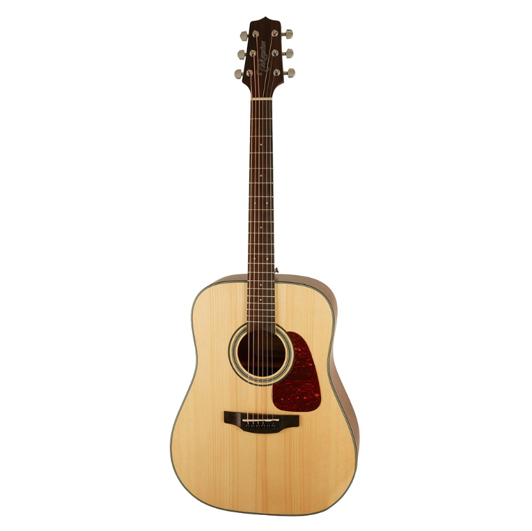 Takamine GD10-NS Akustik Gitar
