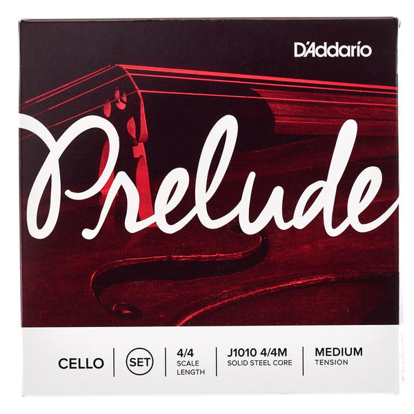 Daddario J813 Keman Teli Tek Re - D
